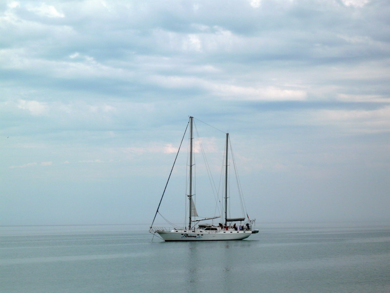 �� ����� �