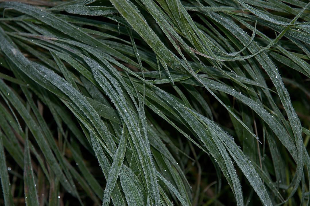 ��� � ������ ������