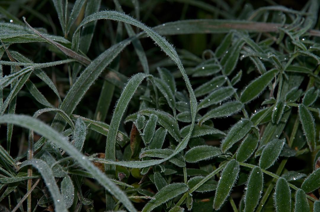 �������� ���������