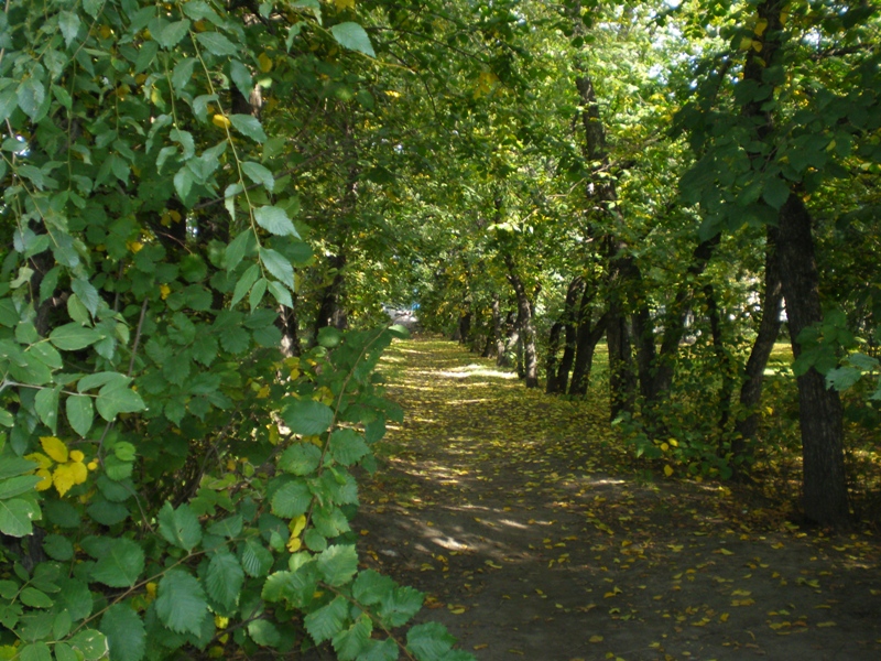 ����� ������