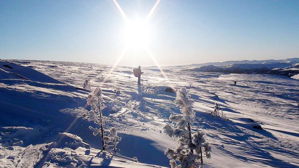 ������ �� ������