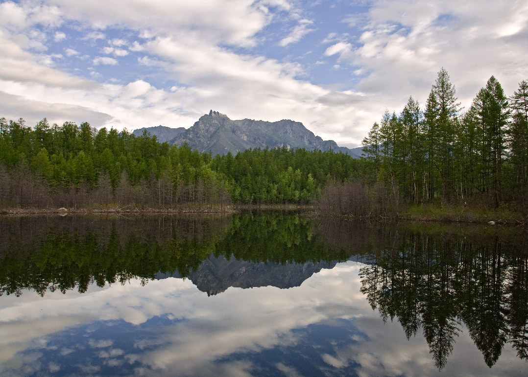 ����� � ������