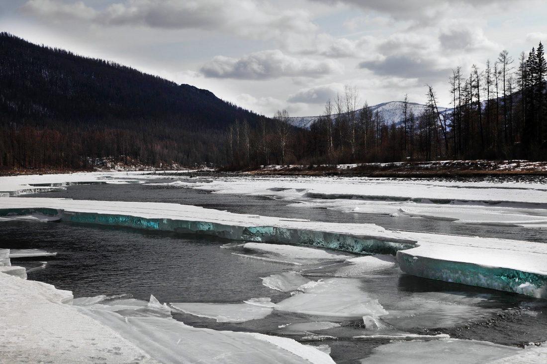 �������� ������ ������� 2012 ����