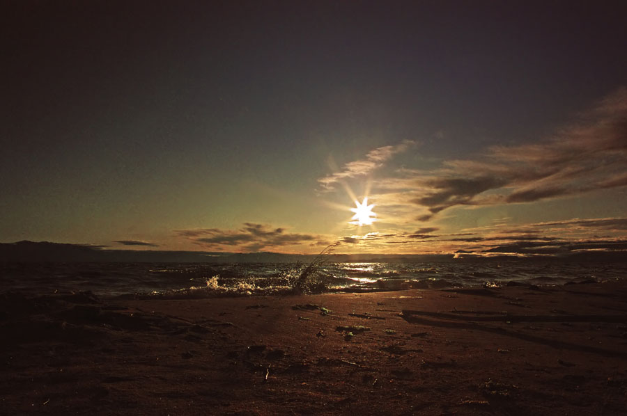 ������ ������