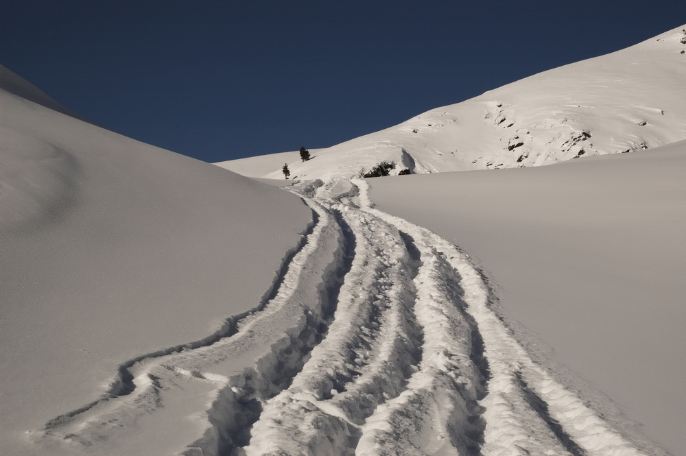 ����� �����