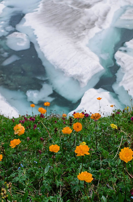 ��� � ���