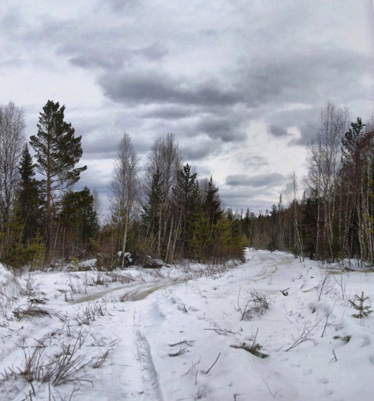 ���������� ���������