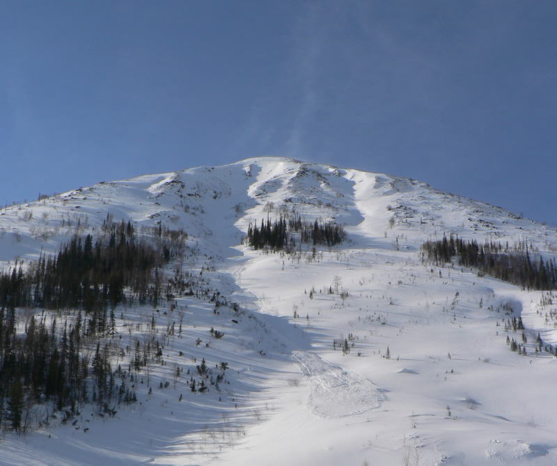 ������ (����� �������� �.�.)