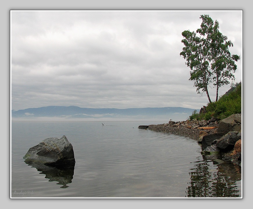 ������ ������