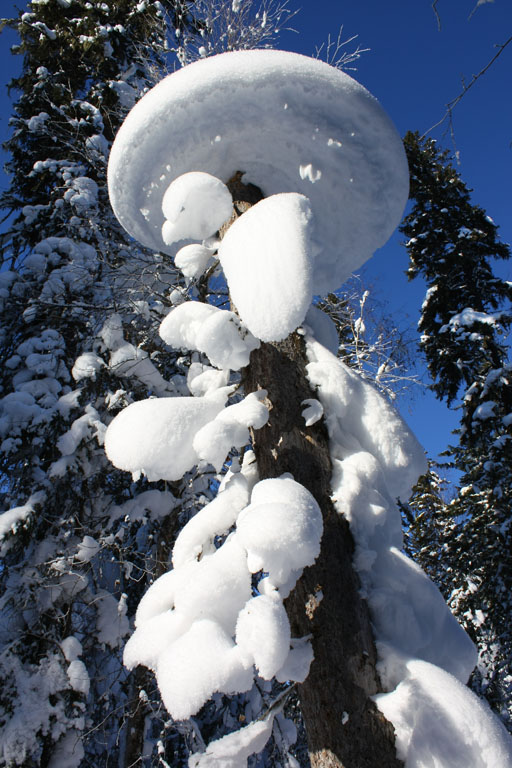 ������� �����