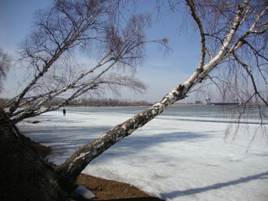 ����������