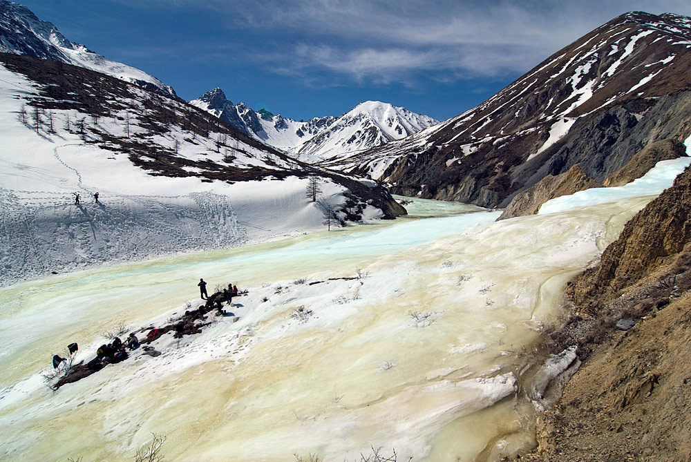 "�����" �����