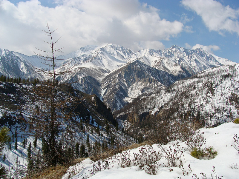 ��� � ����� ����.