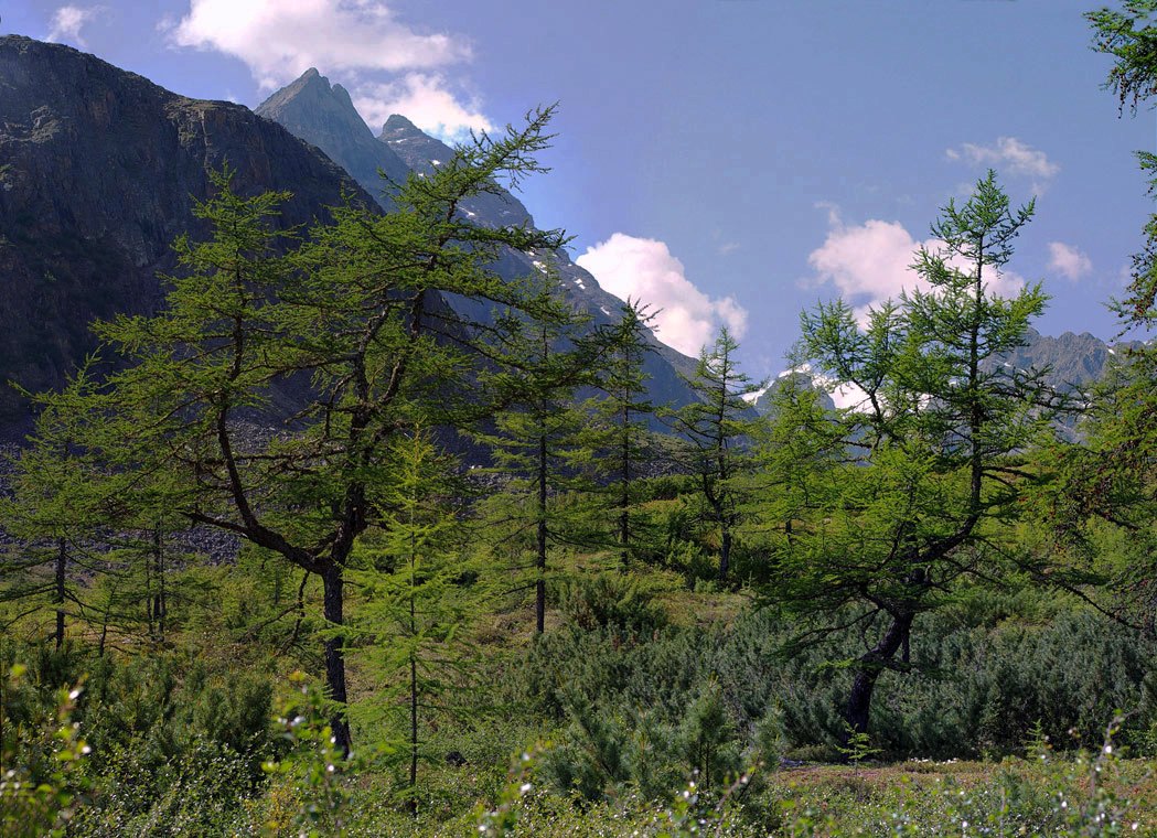 ������� ����������� � ���������