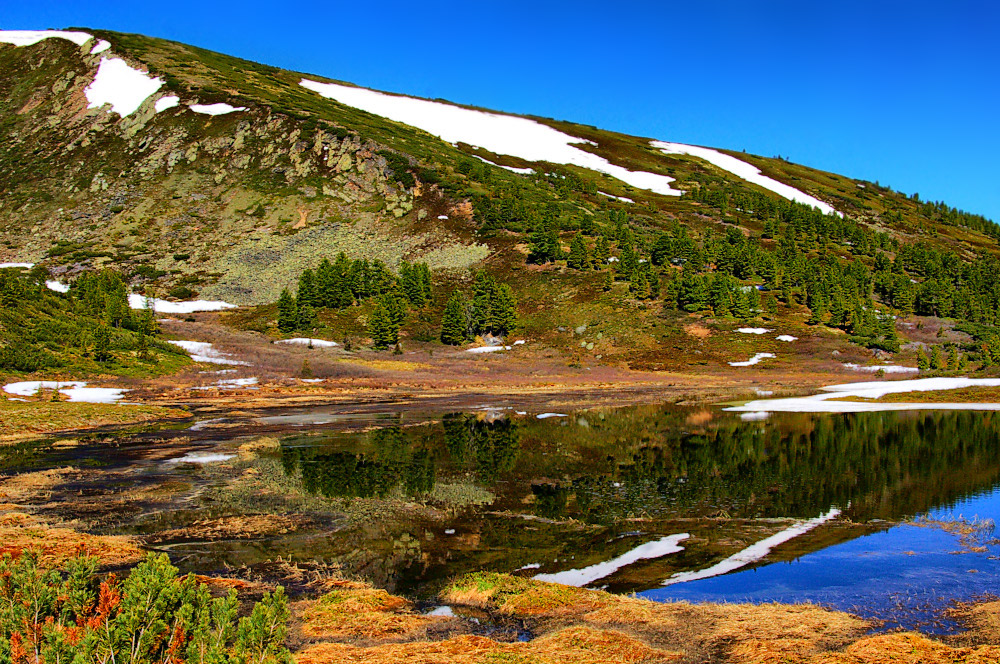 ������� ������� �����