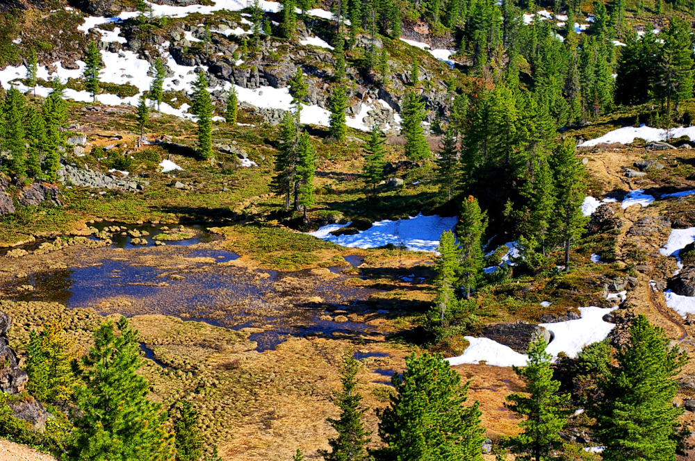 ������� ������ ����