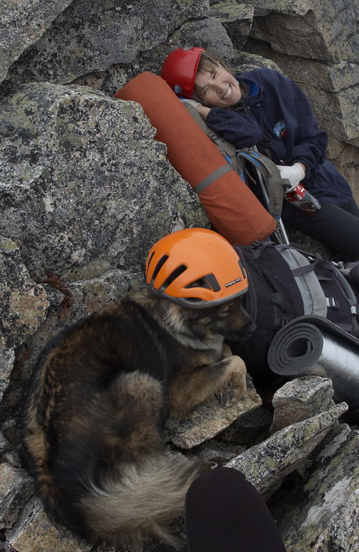 ������������ ������� �����