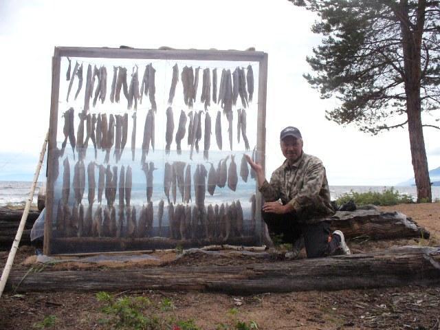 ������ 2008
