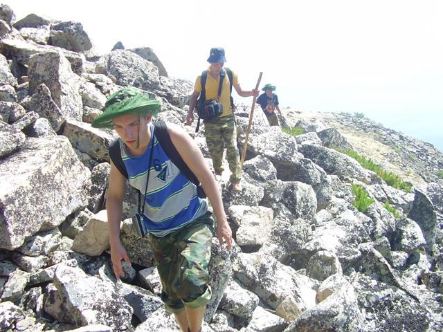 ������ 2008