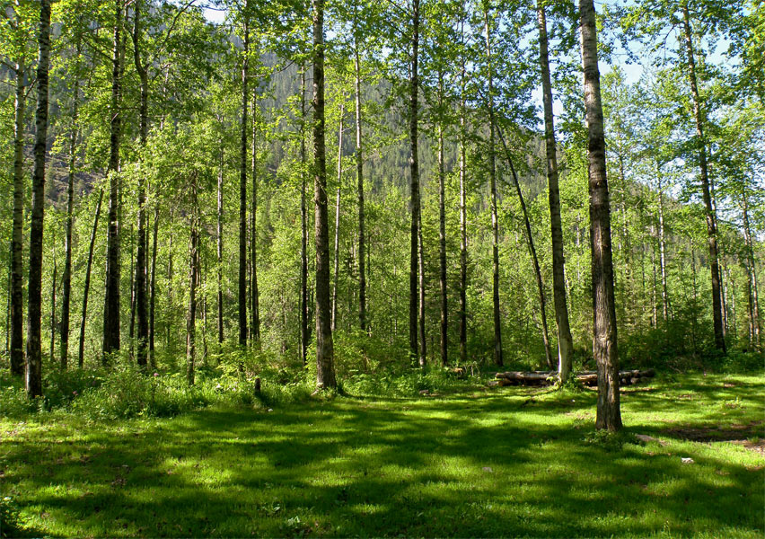 ��������� ������