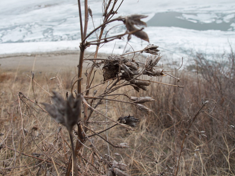 ����� � �������