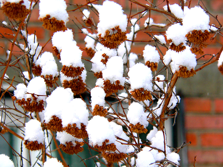 �� ����� � ��� ������� �����!