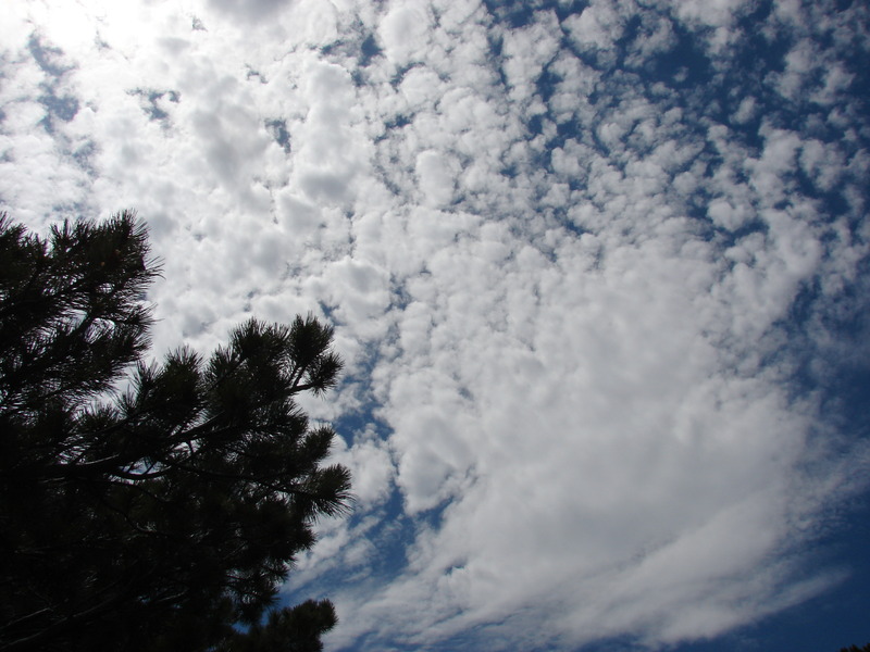 ����� � ��������