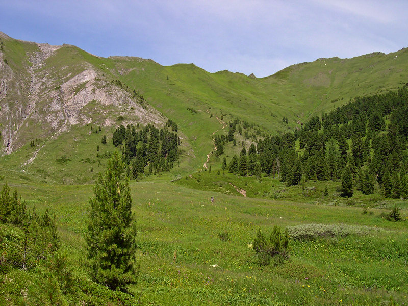 Вид на перевал Аршанский со стороны Кынгарги