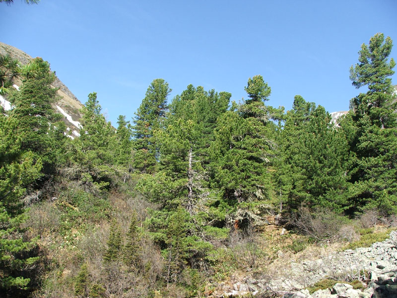 ��� � ������� ����� ���. ��������� �� ������� ���� ���� �� �������