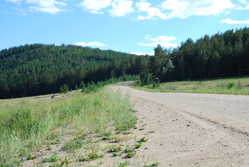 ������� - �����������