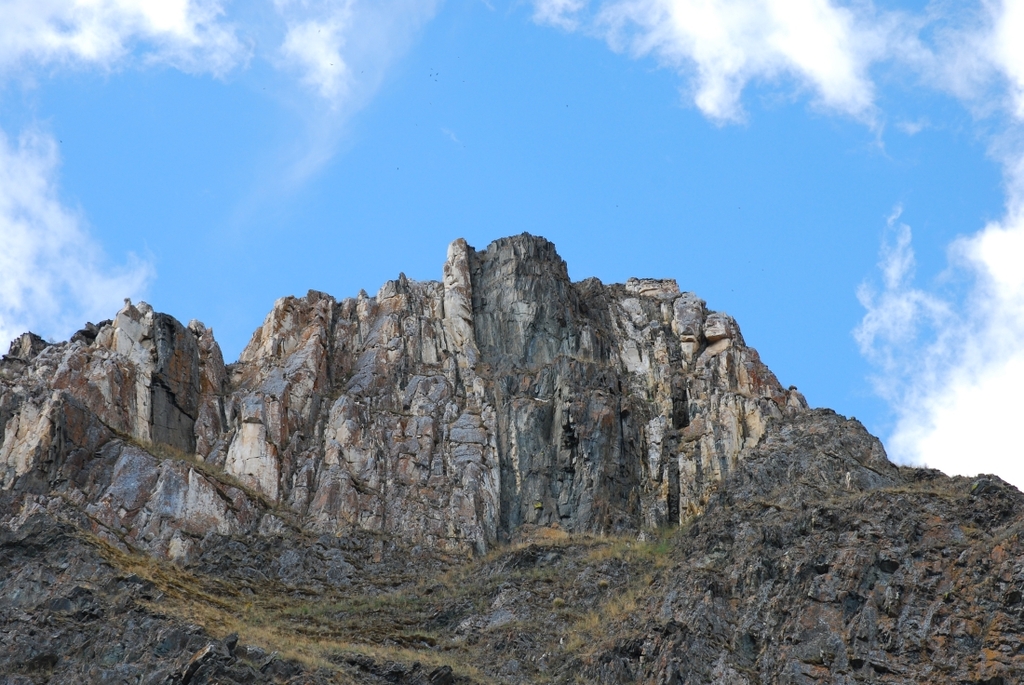 ���� - ����