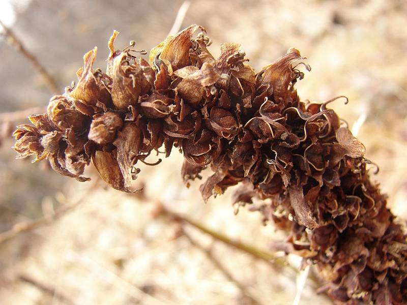 �������� � ���