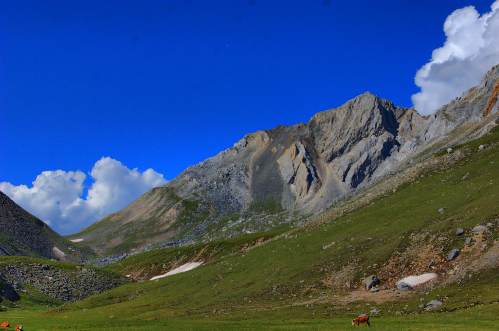 ������� ��������