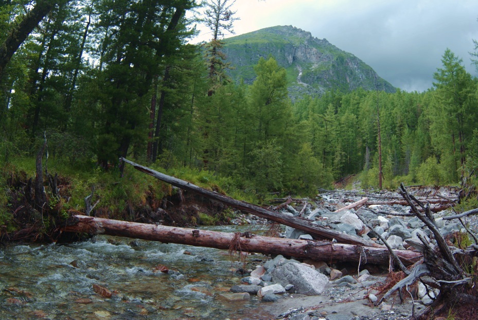 ������ ����� ������