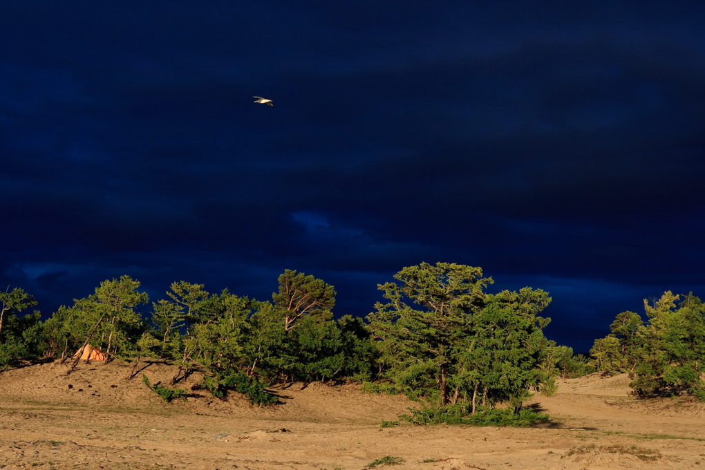 ���������� ����