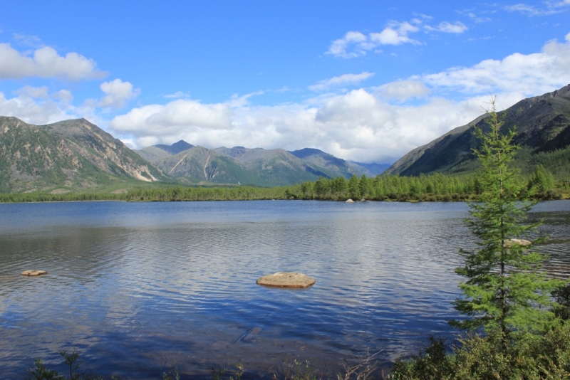 ��� �����-�������  -  ������!!!