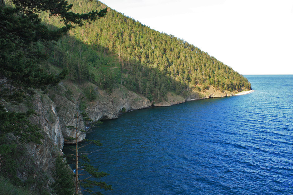 ����� �.������� � �����