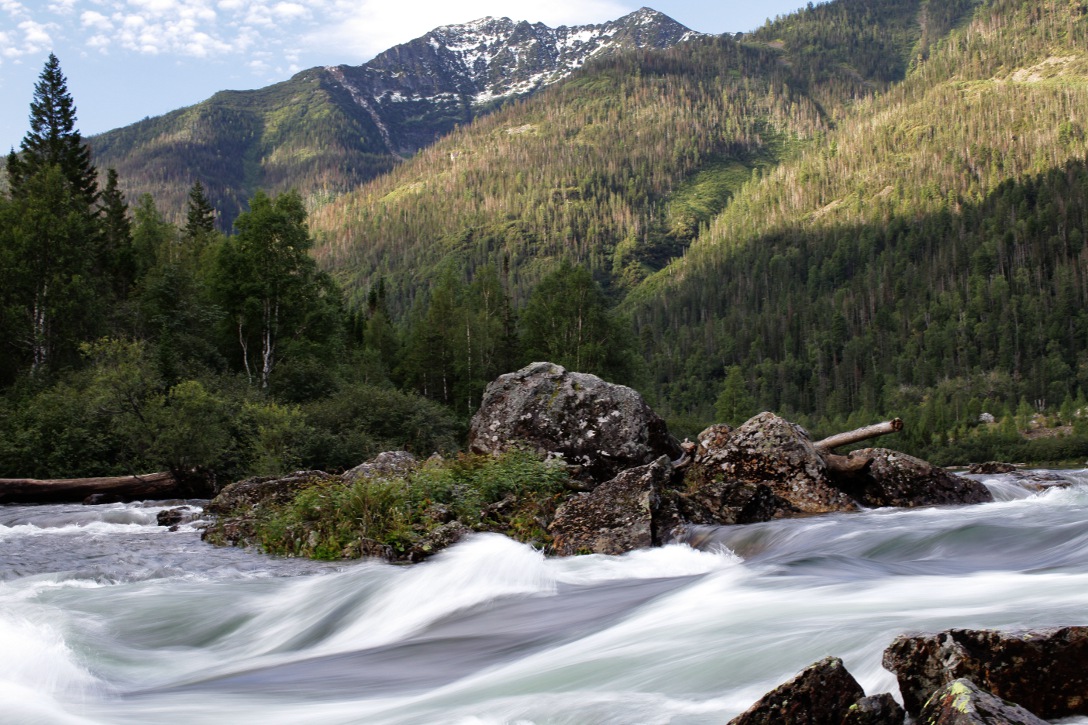 ����� ����������