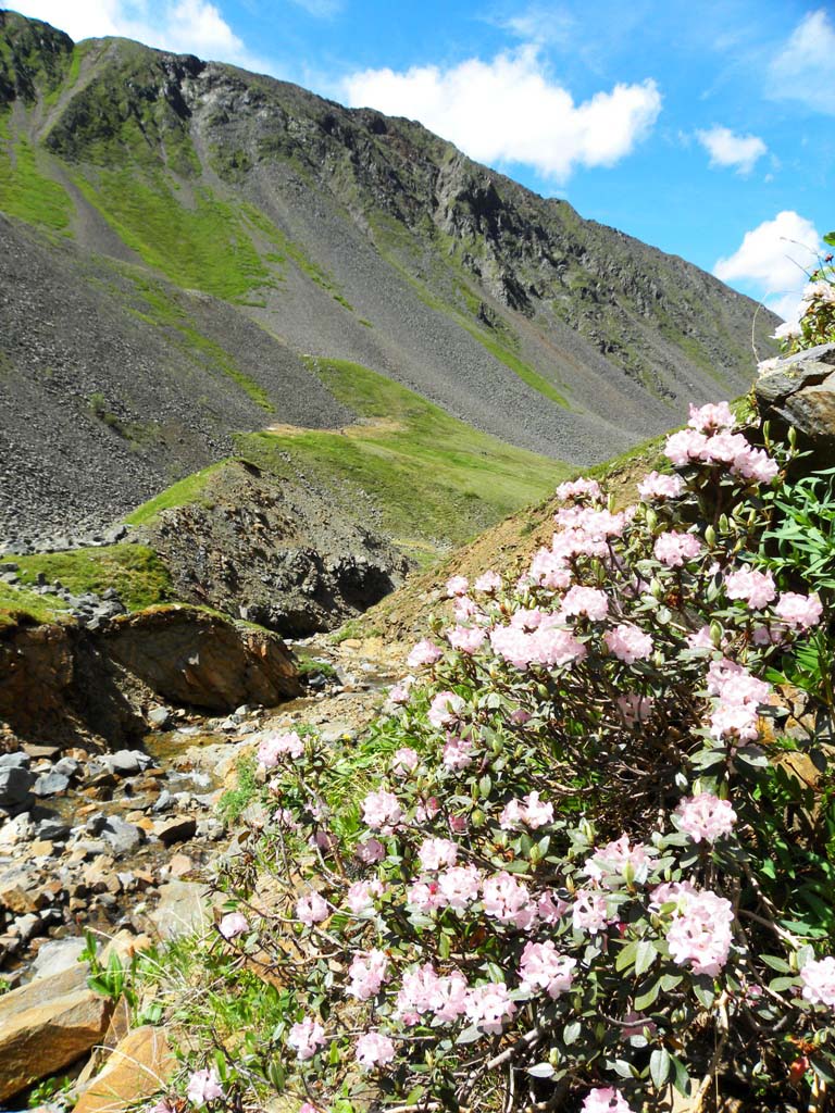 ��������� �����