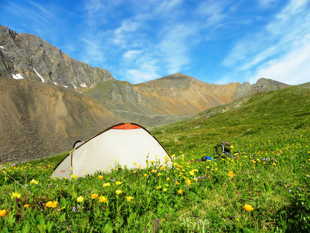 ����������