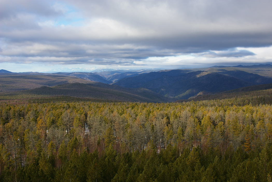 � �����- ���������� ������