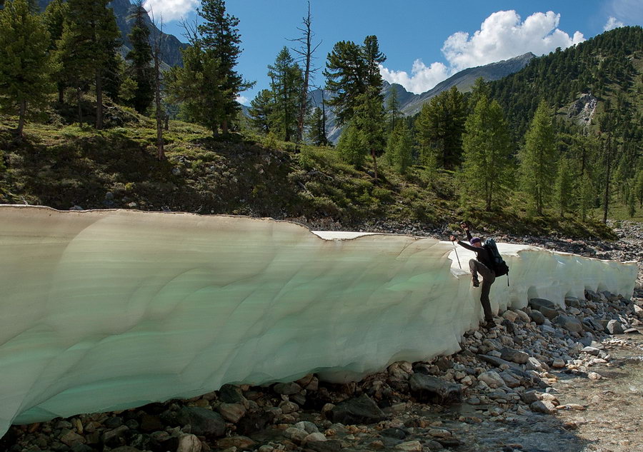 ������� ��������� �� ������