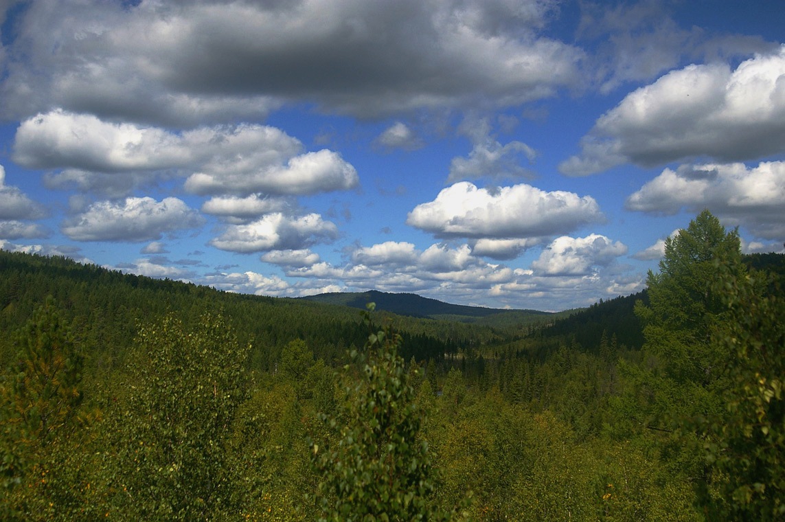 ������,���������� �������...