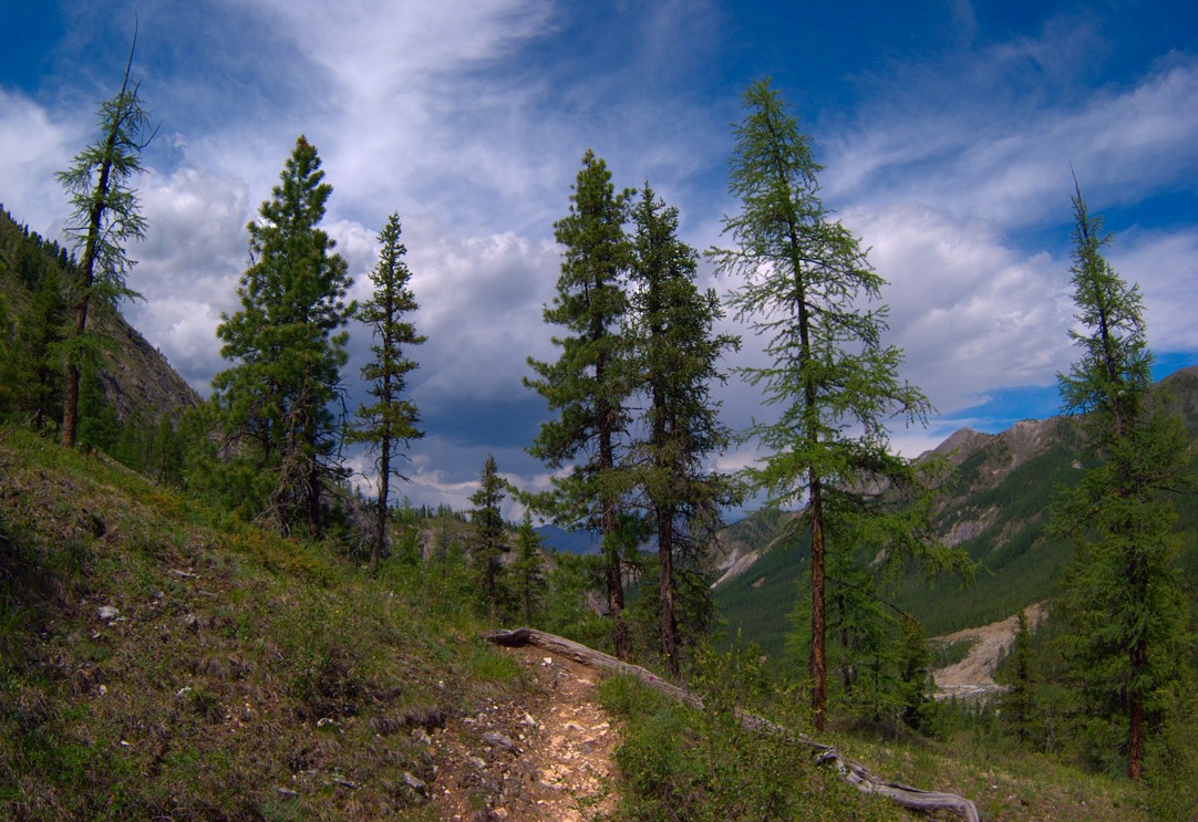 �������� ������