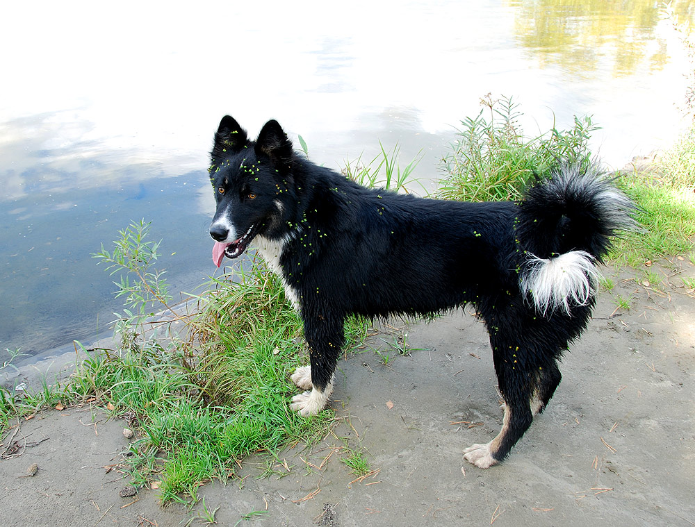 ��������� �� �����...