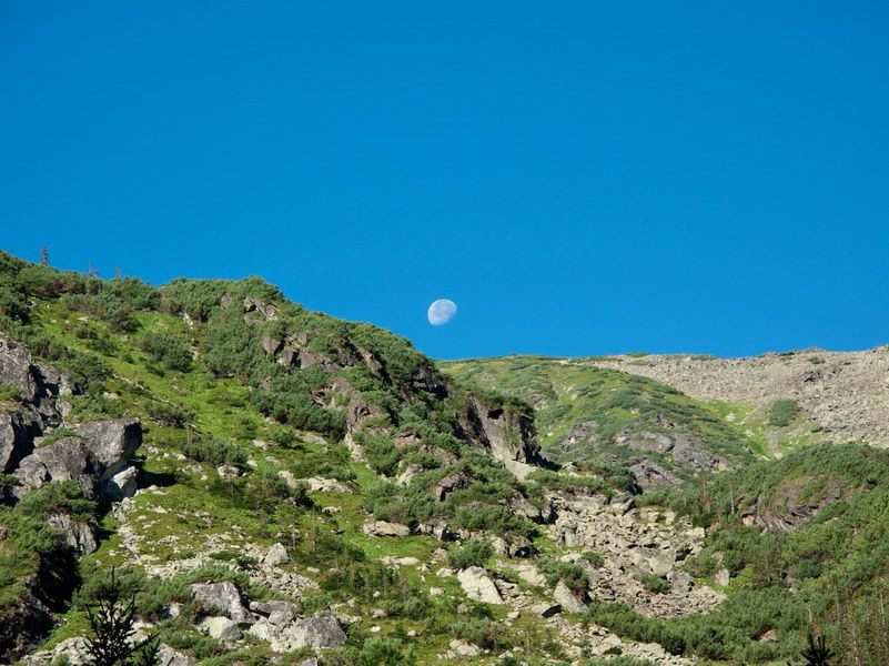 ���� �� �����-������