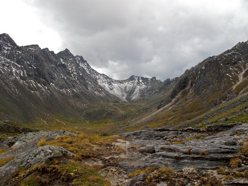 � ������ ������