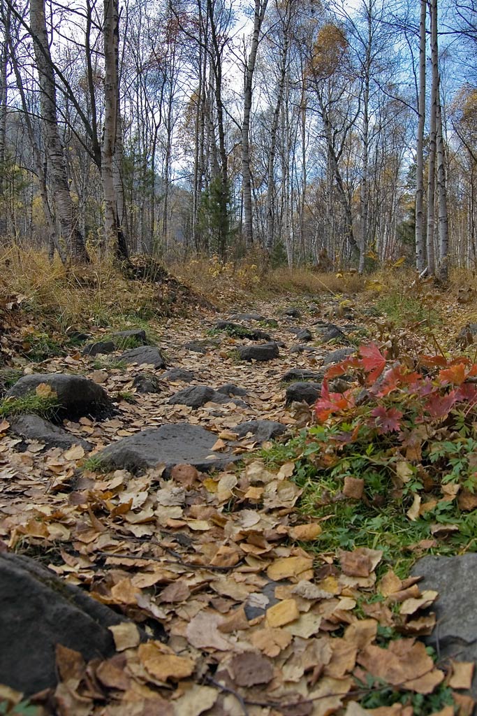 ������� ��� ����� ������.