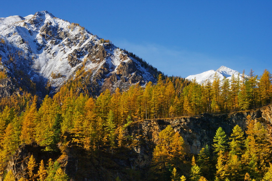 ����� �� ����� ������