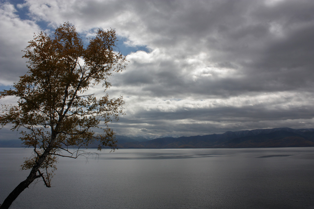 ��� ��������